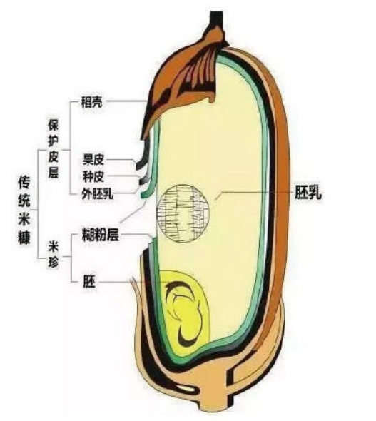 大米怎么选购?ta还有这些妙用丨世界粮食日