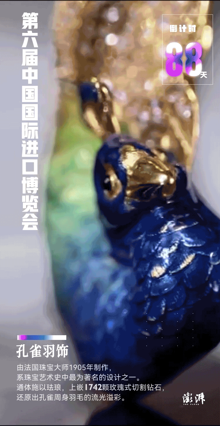 倒计时10天|即将“飞入”进博会的孔雀羽饰,藏着怎样的故事?
