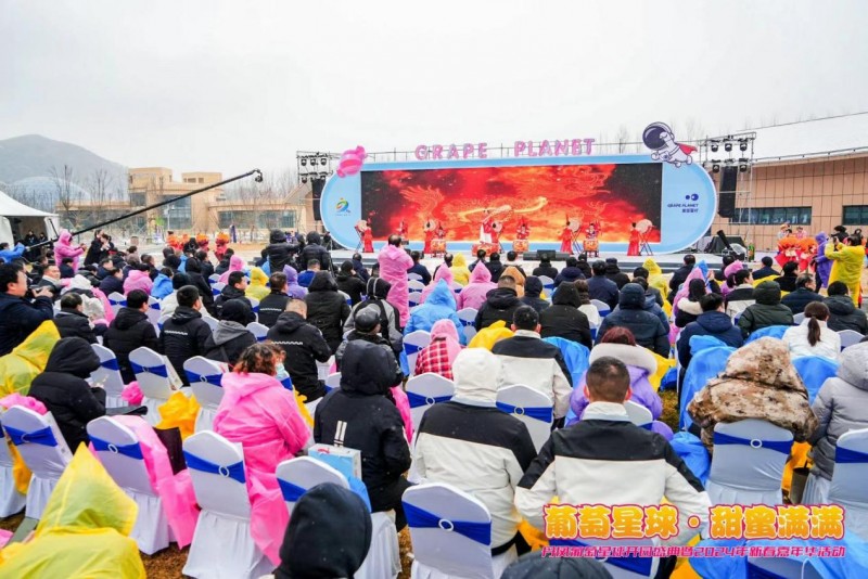 丹凤葡萄星球盛大开园 新春嘉年华活动点燃全民热情