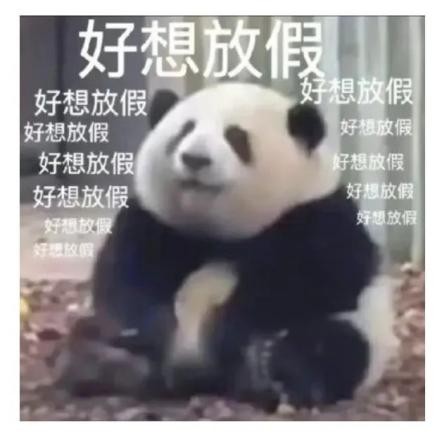 <b>刚刚传出！在这里过年的人有福了！</b>